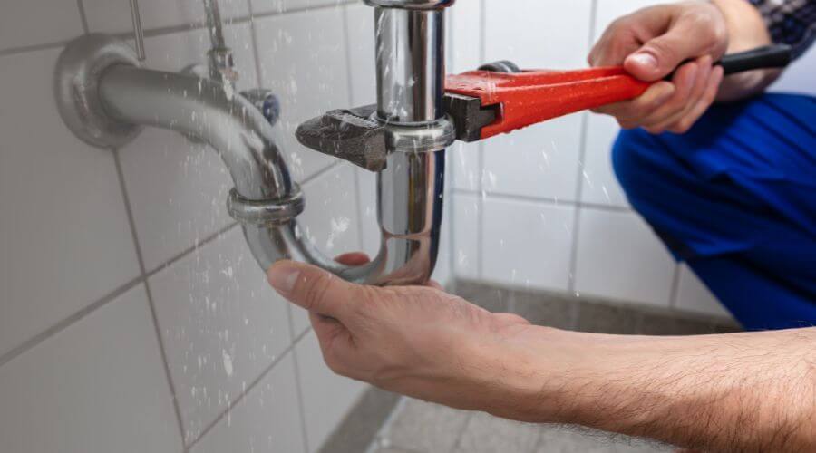 Professional Leak Detection services in Crane, MO